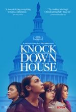 image of female house members against Capitol building in DC with a blue hue over it