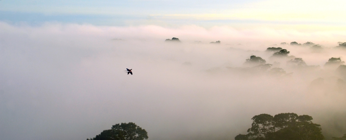 Image of Indonesia above clouds