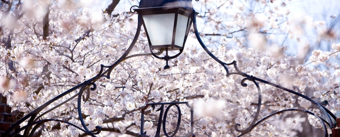 Gateway with blossoms