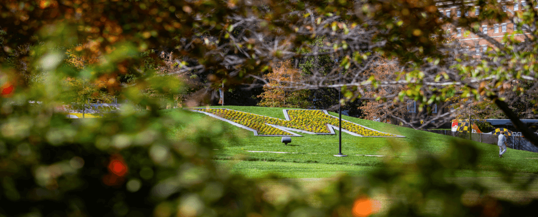 The "M" Lawn