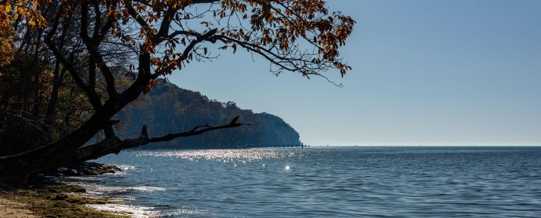 image of Elk Neck State Park, Chesapeake Bay