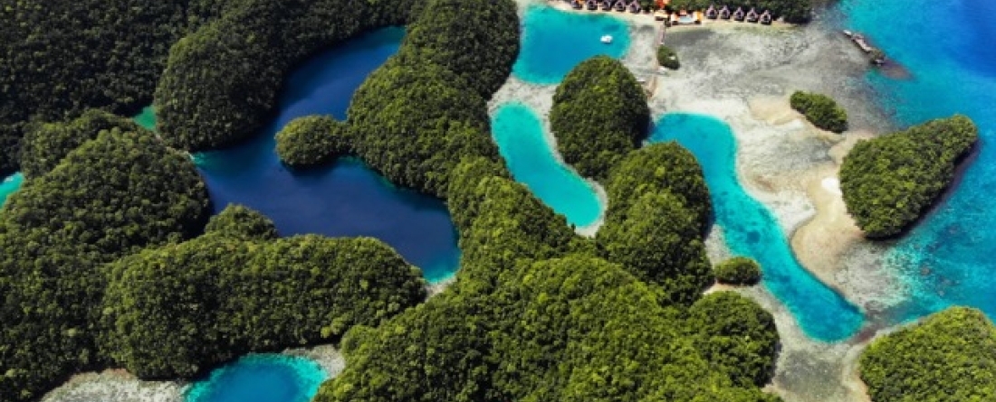 picture of an island with trees and the ocean