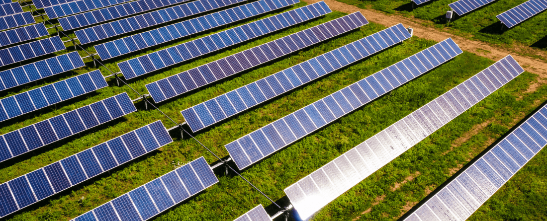 picture of solar panels in a field