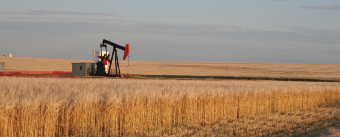 picture of oil driller in a field