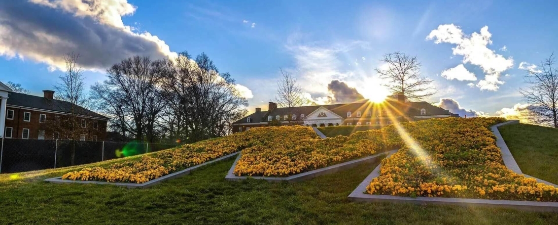 image of giant letter "M" in lawn
