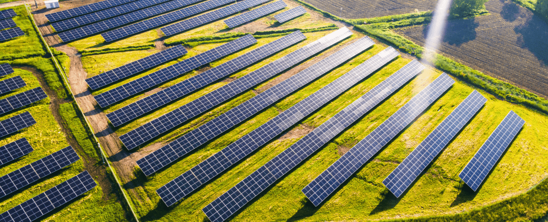 picture of solar panels in a field