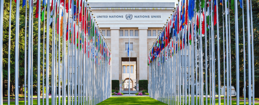 PICTURE OF THE UN with Flags