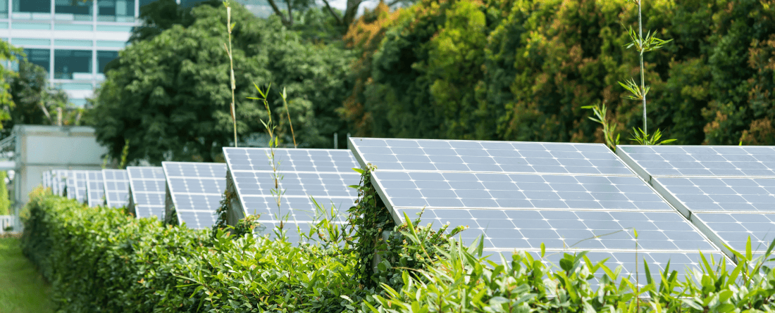 picture of solar panels in the city