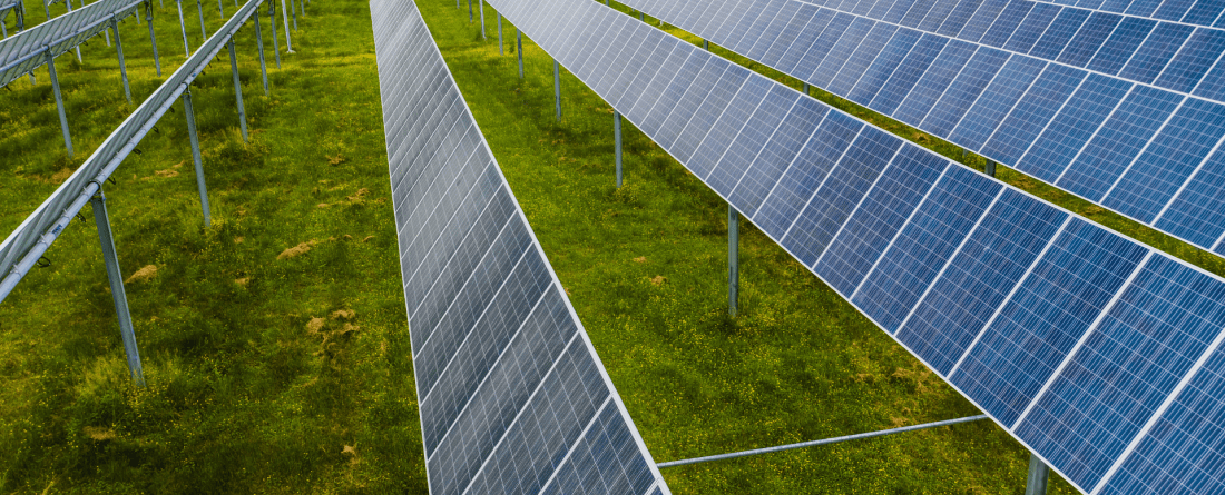 picture of solar panels in a field