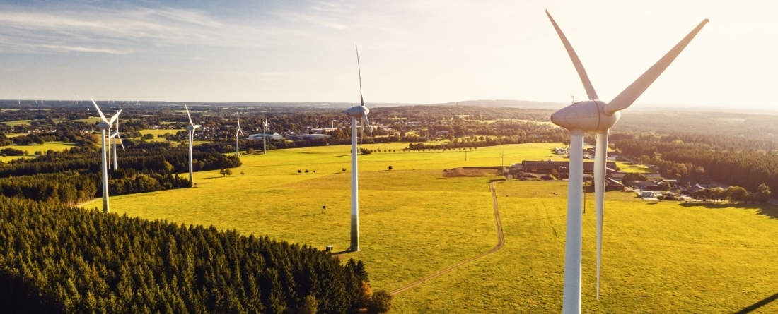 picture of windmills across land